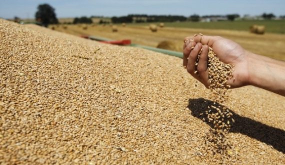 Serbia ndal shitjen e grurit, Kosova blen atje, por mullisët thonë se nuk vend për shqetësim