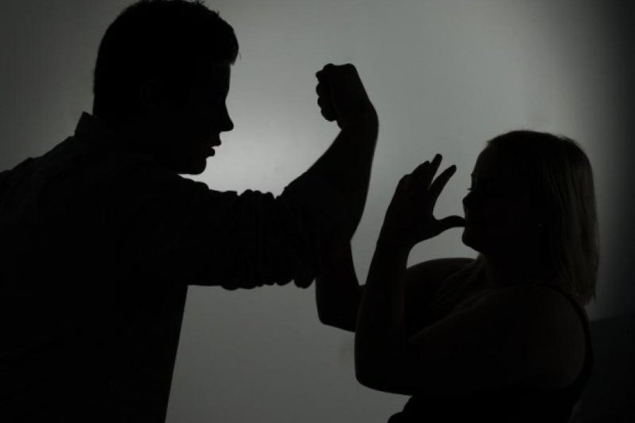  Brenda një dite nëntë raste të dhunës në familje 