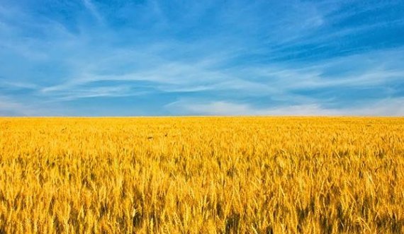 Shërbimi sekret i Ukrainës: Si po e përgatit Rusia planin që ta lë pa bukë Ukrainën dhe botën