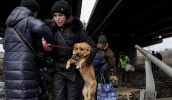 Vazhdojnë evakuimet në Irpin të Ukrainës