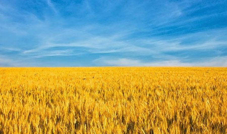 Shërbimi sekret i Ukrainës: Si po e përgatit Rusia planin që ta lë pa bukë Ukrainën dhe botën