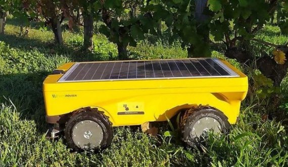 Flota e kositëseve robotike solare që përdoren në vreshtat franceze