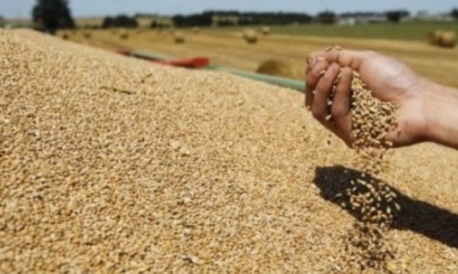 Do vijojë lëvizja e grurit dhe misrit mes Serbisë e Shqipërisë