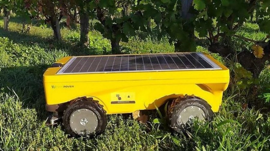 Flota e kositëseve robotike solare që përdoren në vreshtat franceze