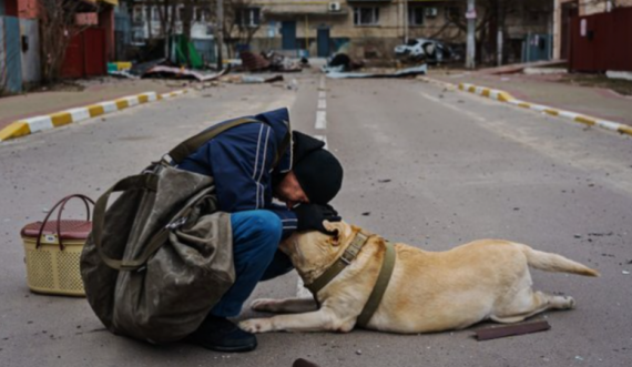 Foto sa 1 mijë fjalë, burri qetëson qenin e tmerruar nga bombardimet ruse
