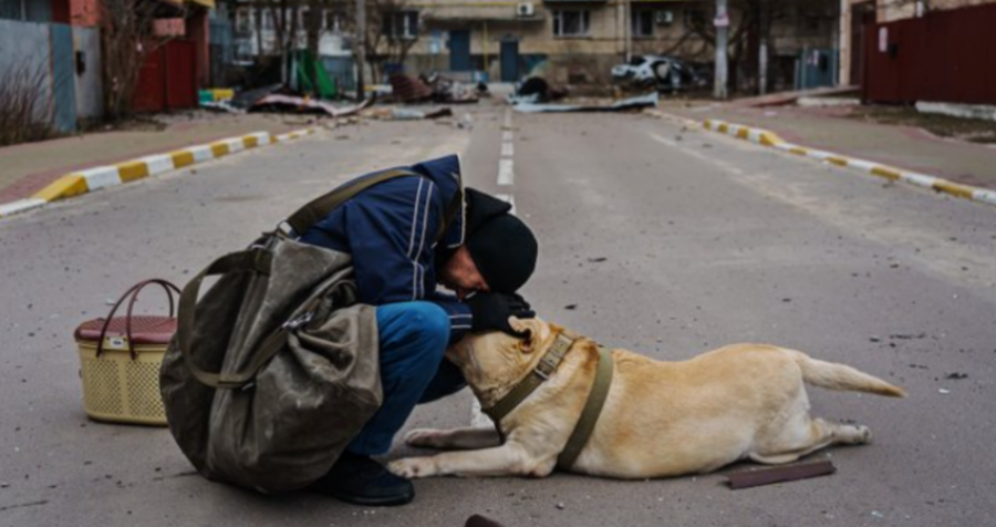 Foto sa 1 mijë fjalë, burri qetëson qenin e tmerruar nga bombardimet ruse