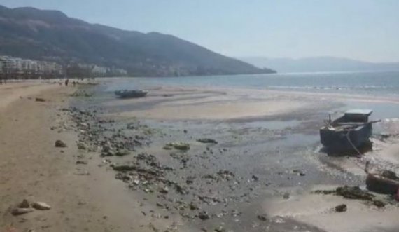 Fenomeni i pazakontë i tërheqjes së detit ndodh edhe në Vlorë, batica nxjerr çfarë fshihej nën ujë