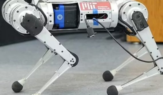 Ja si duket roboti që lëviz me shpejtësi të lartë në terrene me akull dhe guralecë