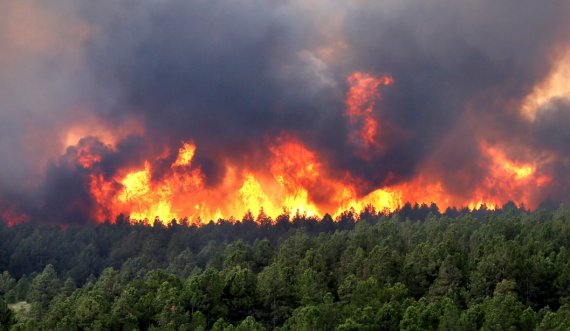 Ahmeti: Zjarret pyjore janë alarmante, institucionet të marrin masat e duhura