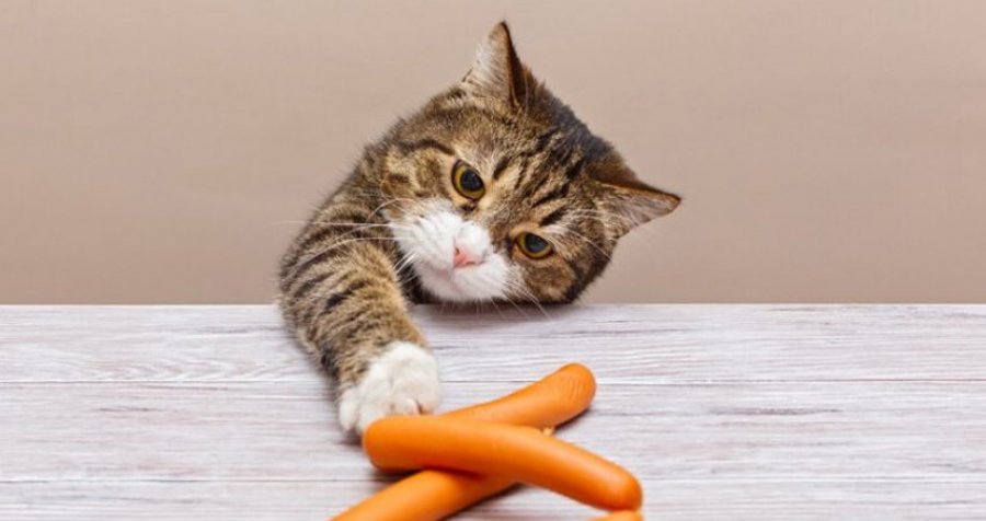 Pse macet vjedhin dhe fshehin ushqimin dhe gjërat nëpër shtëpi?