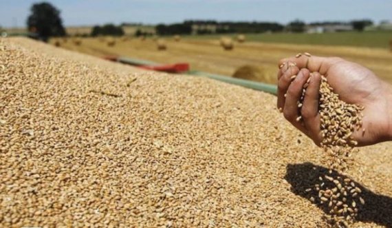 Serbia ka ndaluar shitjen e grurit, Kosova tash mund të blejë në Amerikë