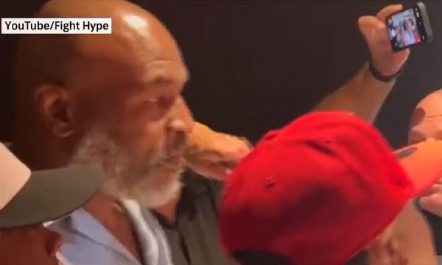Tjetër incident për Tysonin, fansja ia prek hundën