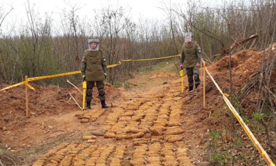 Gjenden rreth 1 mijë e 600 mina në Parkun e Lirisë në Ferizaj