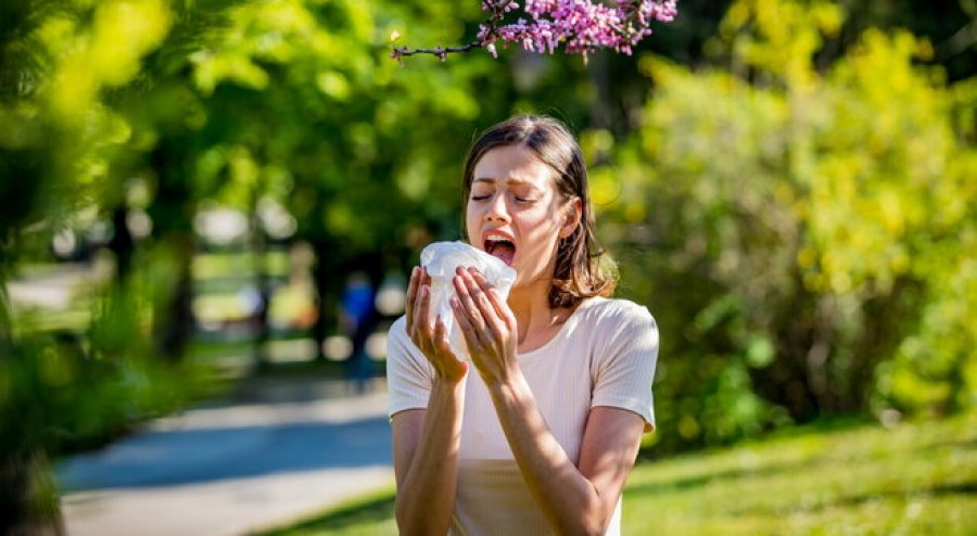 A vuani prej alergjive pranverore