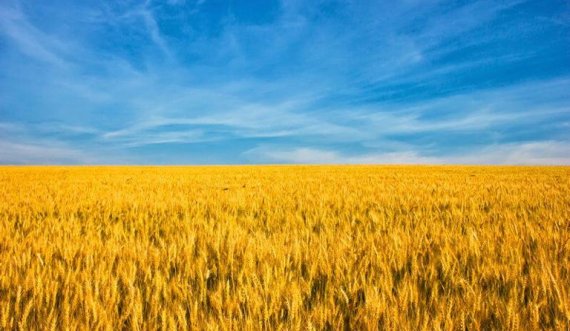 OKB: 25 milionë tonë drithëra bllokohen në Ukrainë për shkak të luftës