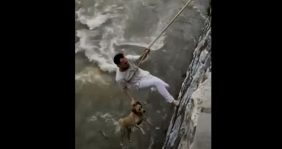 Ky është momenti kur qytetari në Prizren e shpëton qenin nga lumi