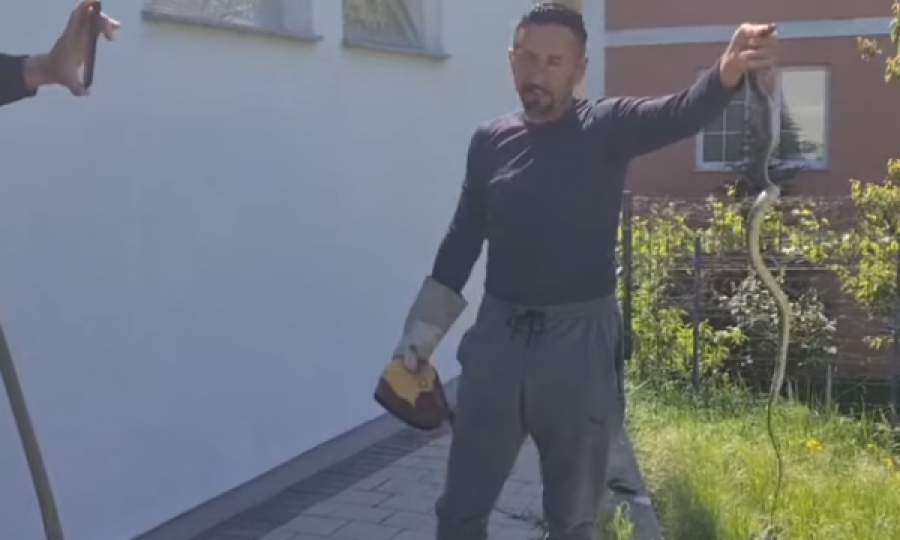 Gjakovari befason sërish – i kap me duar gjarpërinjtë, pastaj i puth