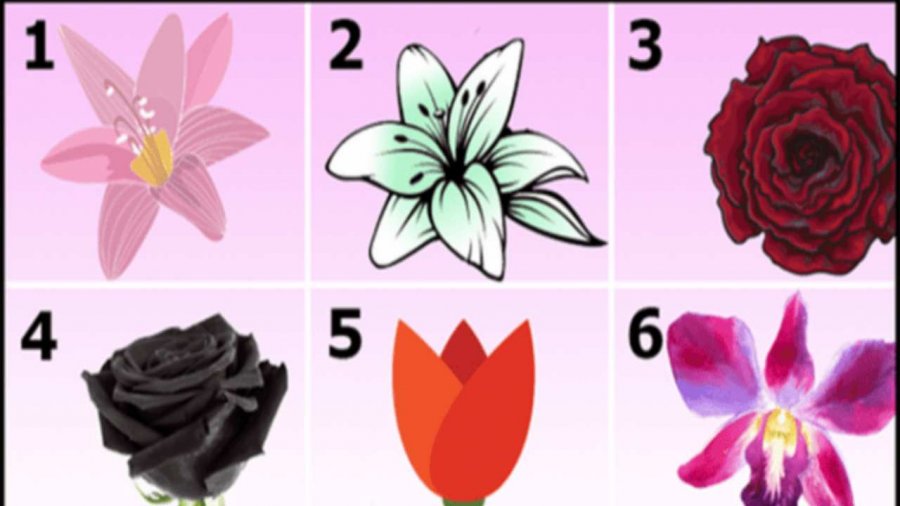 Testi i luleve/ Zgjidhni atë që ju pëlqen dhe zbuloni moshën tuaj psikologjike