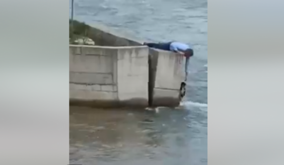 Qytetari e lë dasmën për ta shpëtuar qenin 