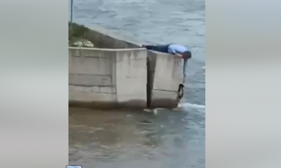 Qytetari e lë dasmën për ta shpëtuar qenin