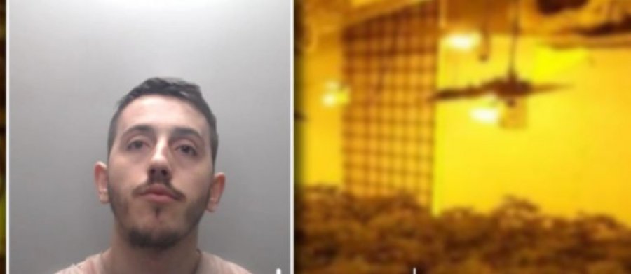 Prodhoi drogë me vlerë 50 mijë euro, dënohet shqiptari që u kap me “shtëpi bari”