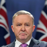 Albanese: Qeveria është e përgatitur të ndërmarrë çdo veprim 