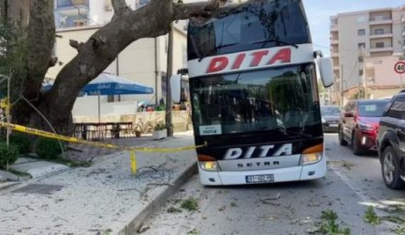 Ja si autobusi me 50 turistë nga Kosova u përplas me pemë