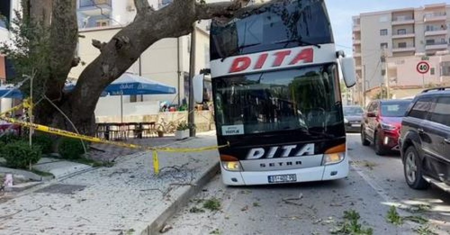 Ja si autobusi me 50 turistë nga Kosova u përplas me pemë