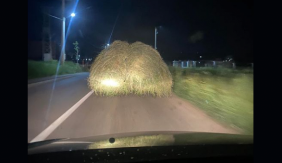 Deputeti i VV-së has në një traktor me sanë
