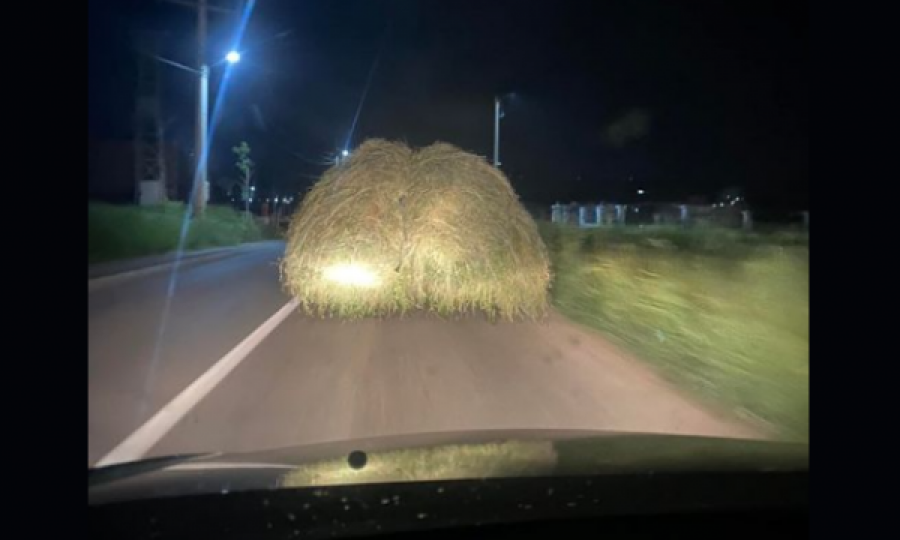 Deputeti i VV-së has në një traktor me sanë