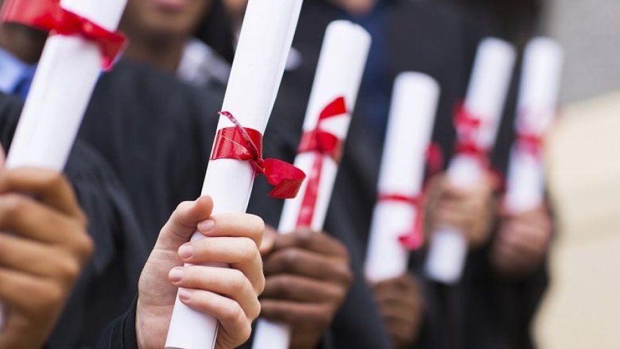 Shitblerja e 'dijes' në Kosovë