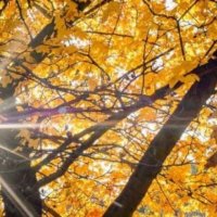 Parashikiimi i motit për sot