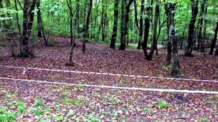 Lajm i rëndë: Shqiptari gjendet i vdekur në pyll në Greqi