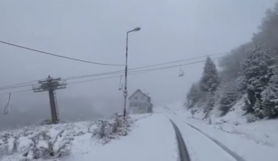 Brezovica e bukur po mbulohet nga bora