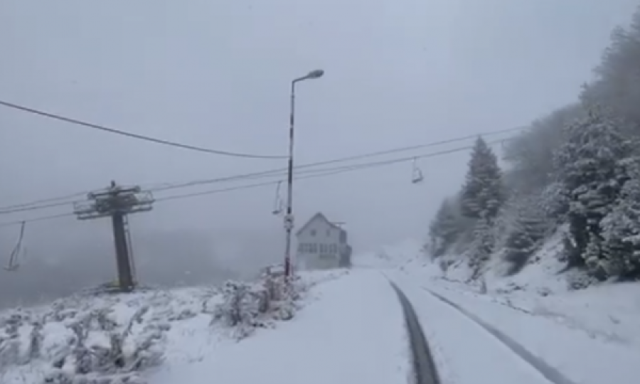 Brezovica e bukur po mbulohet nga bora