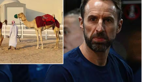 Kombëtarja angleze  e zgjodhi grumbullimin jashtë Dohas për qetësi,  e pëson keq nga  devetë  që po  i lënë pa gjumë lojtarët