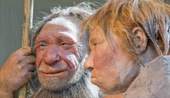  Cili ishte ushqimi i preferuar për Neandertalët! 