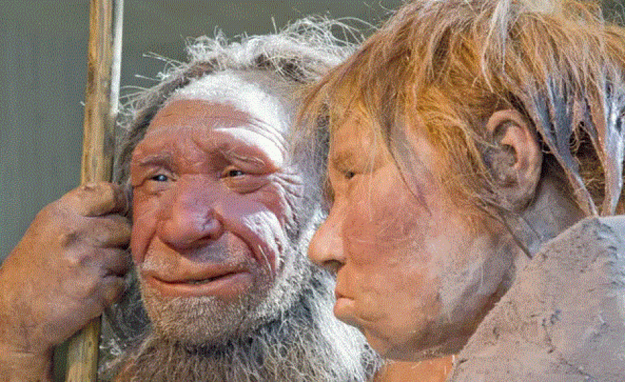  Cili ishte ushqimi i preferuar për Neandertalët! 