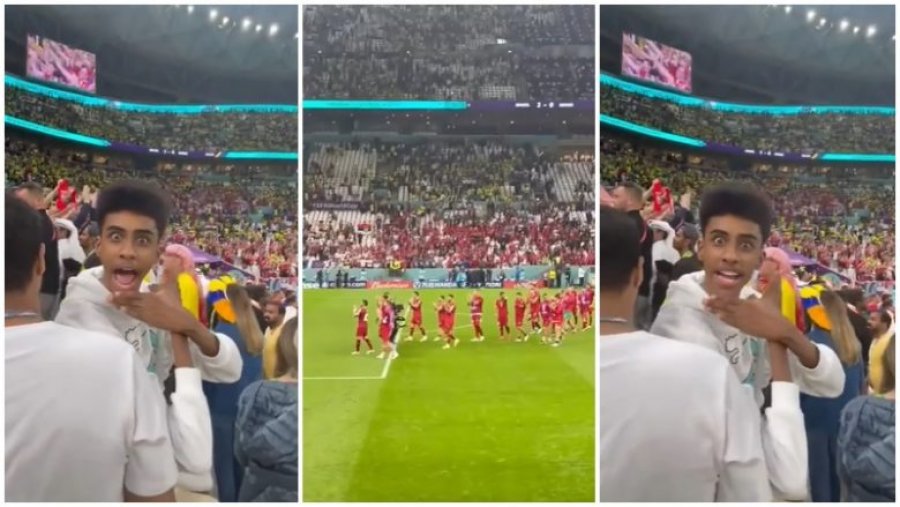 Tifozi nga Katari provokon i bënë të çmenden futbollistët e  të Serbisë, e bën simbolin e shqiponjës me thirrjen Albania, Albania!