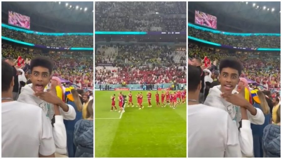 Tifozi nga Katari provokon i bënë të çmenden futbollistët e të Serbisë, e bën simbolin e shqiponjës me thirrjen Albania, Albania!