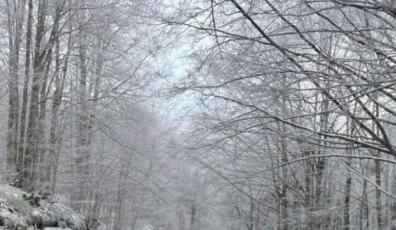 Në Brezovicë bie borë, kështu duket me pamjen e bukur
