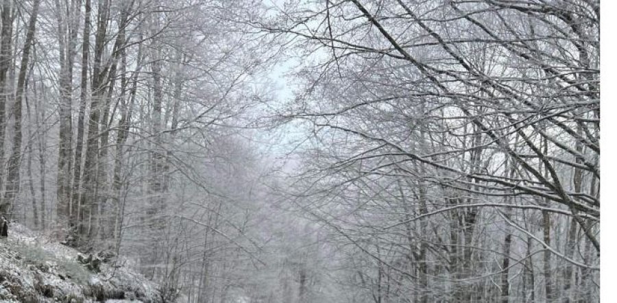 Në Brezovicë bie borë, kështu duket me pamjen e bukur