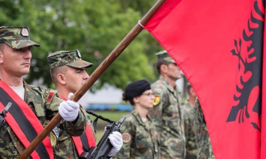 Edhe NATO feston bashk me shqiptarët dhe  Shqipërinë, publikohet  fotografi nga blloku perëndimor ushtarak