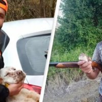 Gjuetari vritet me armë, nga qeni i tij