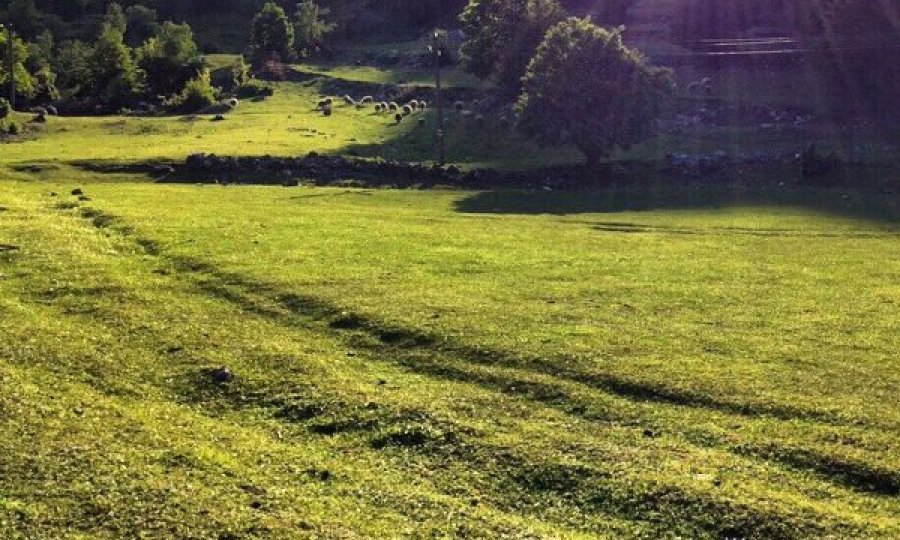 I përkeqësohet gjendja, një burrë nga Prizreni vdes në fushë