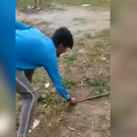 Po e puthte për të bërë foto, kobra kafshon burrin në buzë