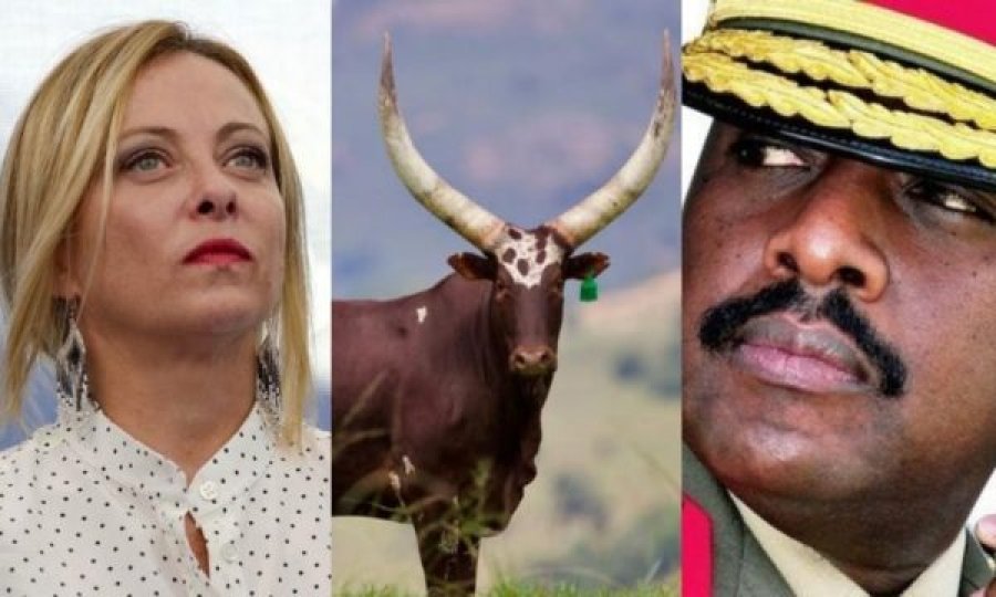 Djali i presidentit të Ugandës i propozon martesë Giorgia Melonit, në këmbim të 100 lopëve