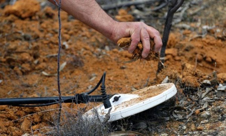 Arkeologët e Beogradit hasin në një organ gjenital mashkullor nga bronzi, as që mund ta imagjinoni për çfarë përdorej