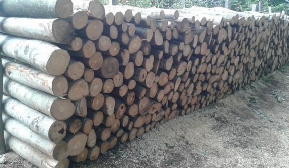 Kjo komunë e Kosovës po i shet drunjtë për dimër: Veç 18 euro për metër