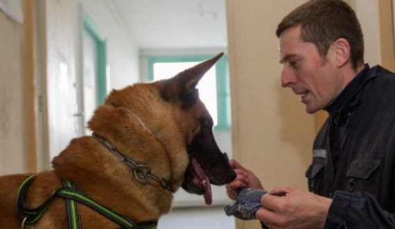 Një burrë kafshon qenin e policisë gjatë arrestimit